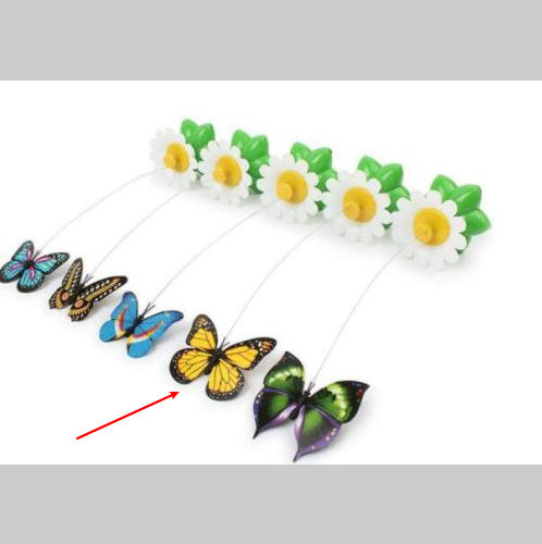 JMT-557450 Electric Rotating Butterfly and Bird Flower Pet Toy with Remote Control