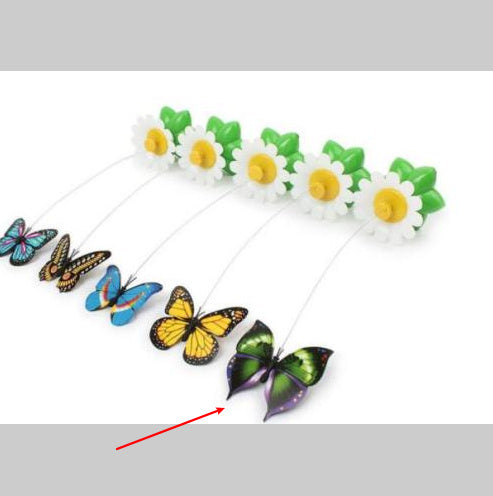 JMT-557450 Electric Rotating Butterfly and Bird Flower Pet Toy with Remote Control