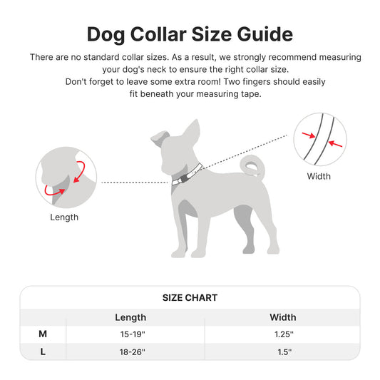 JMT-561930 Tactical Dog Collar with Handle - 1.25 In Wide, Padded Nylon with Quick-Release Clasp and Airtag Case