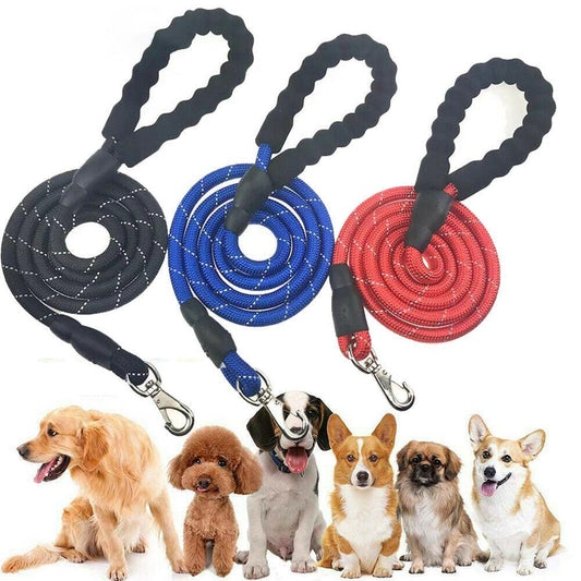 JMT-562250 Elastic Dog Leash with Padded Handle for Comfortable Jogging and Training, 5 Feet Reflective Rope and Adjustable Waist Belt for Hands-Free Pet Walking