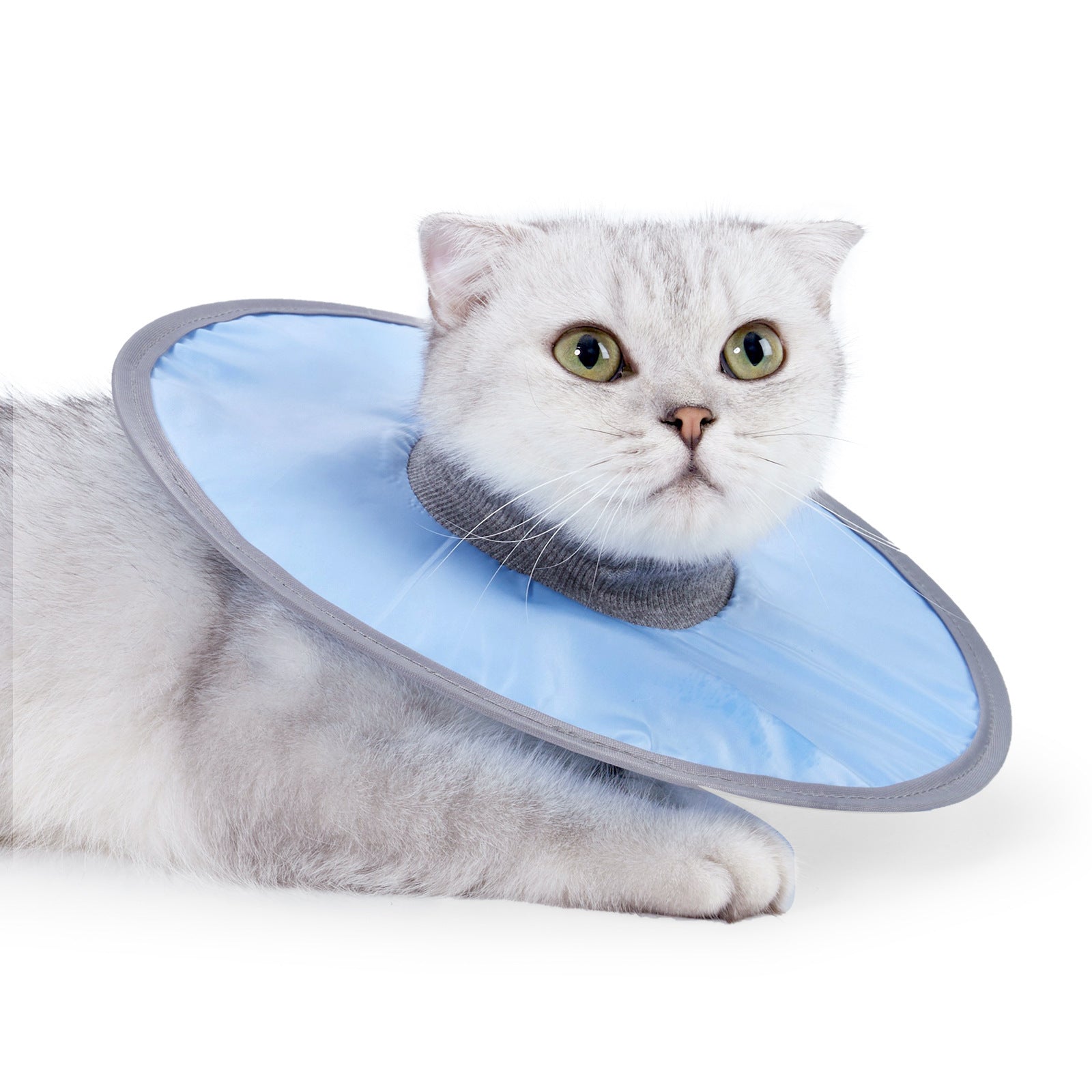 JMT-563402 Adjustable Waterproof Cat Recovery Collar for Post-Surgery Wound Protection - Lightweight Pet Cone Collar