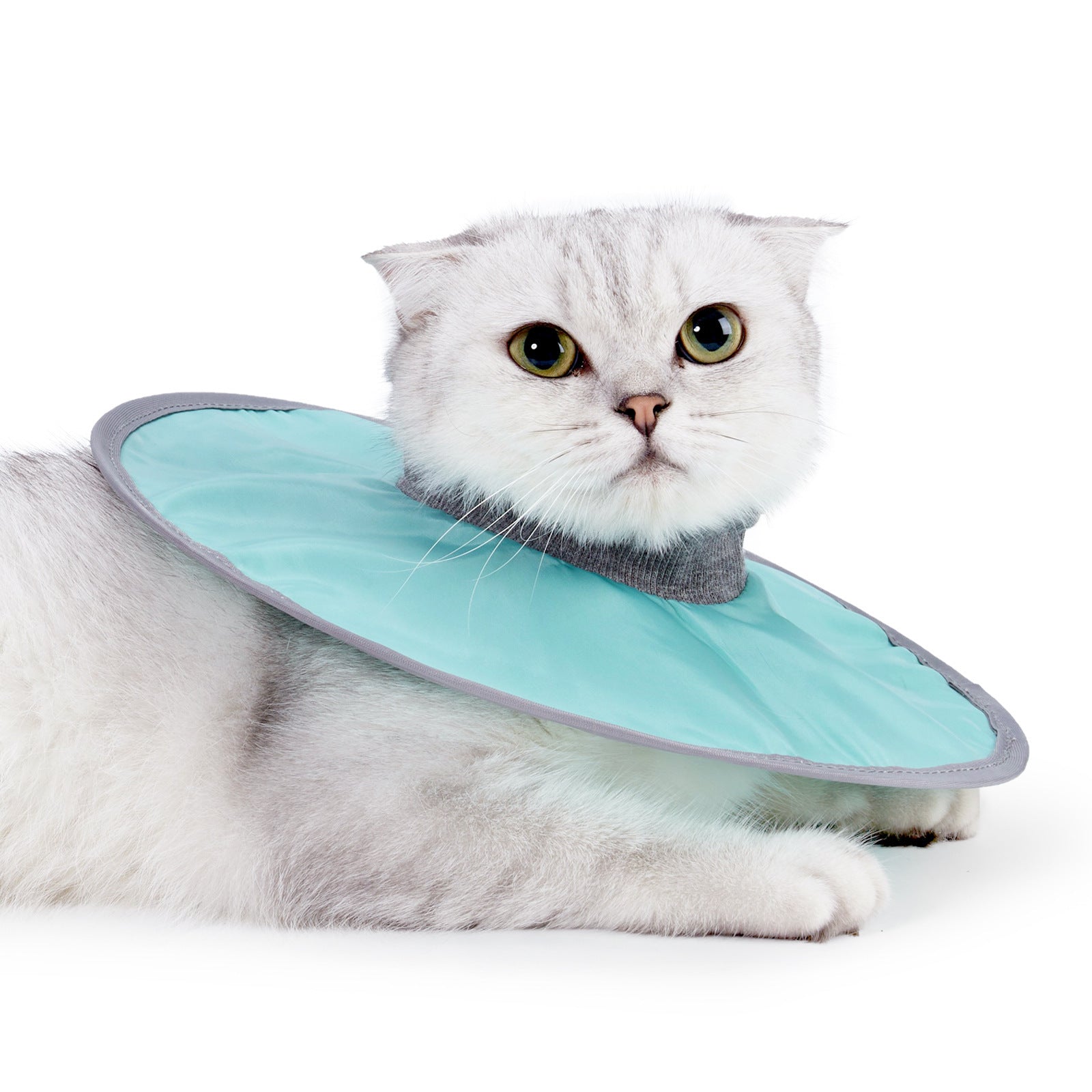 JMT-563402 Adjustable Waterproof Cat Recovery Collar for Post-Surgery Wound Protection - Lightweight Pet Cone Collar
