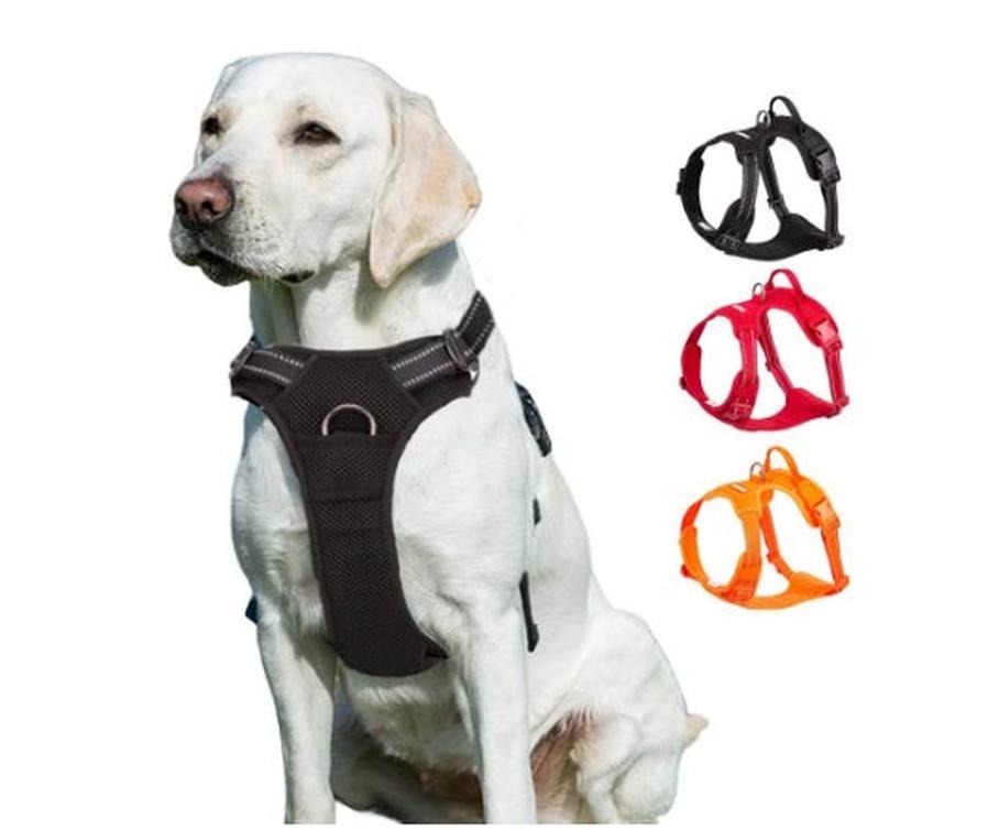 JMT-565386 Fur Vest-Style Chest Strap for Dogs - Available in Orange, Red, Black, XS-XL Sizes