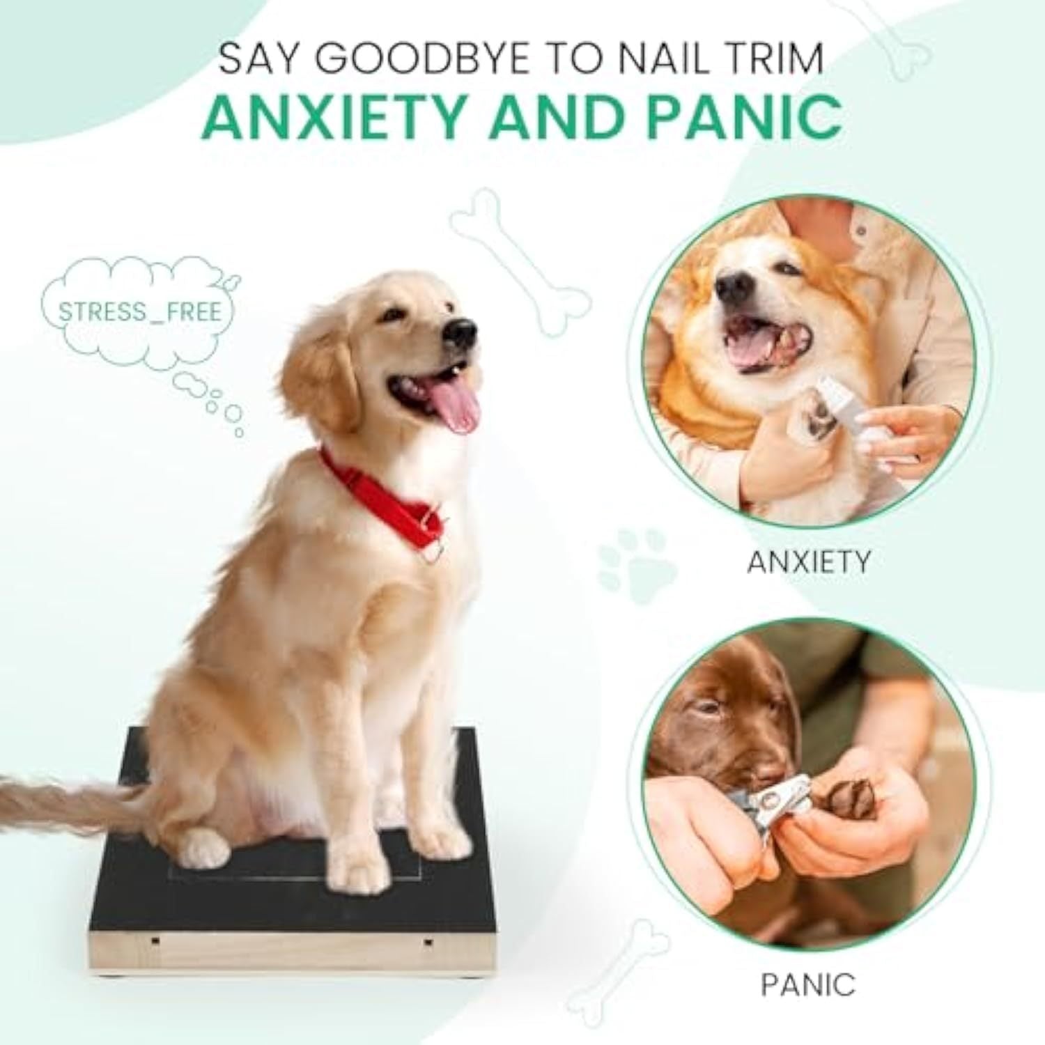 JMT-568330 Gentle Dog Nail Scratch Board with Treat Drawer for Easy Nail Trimming