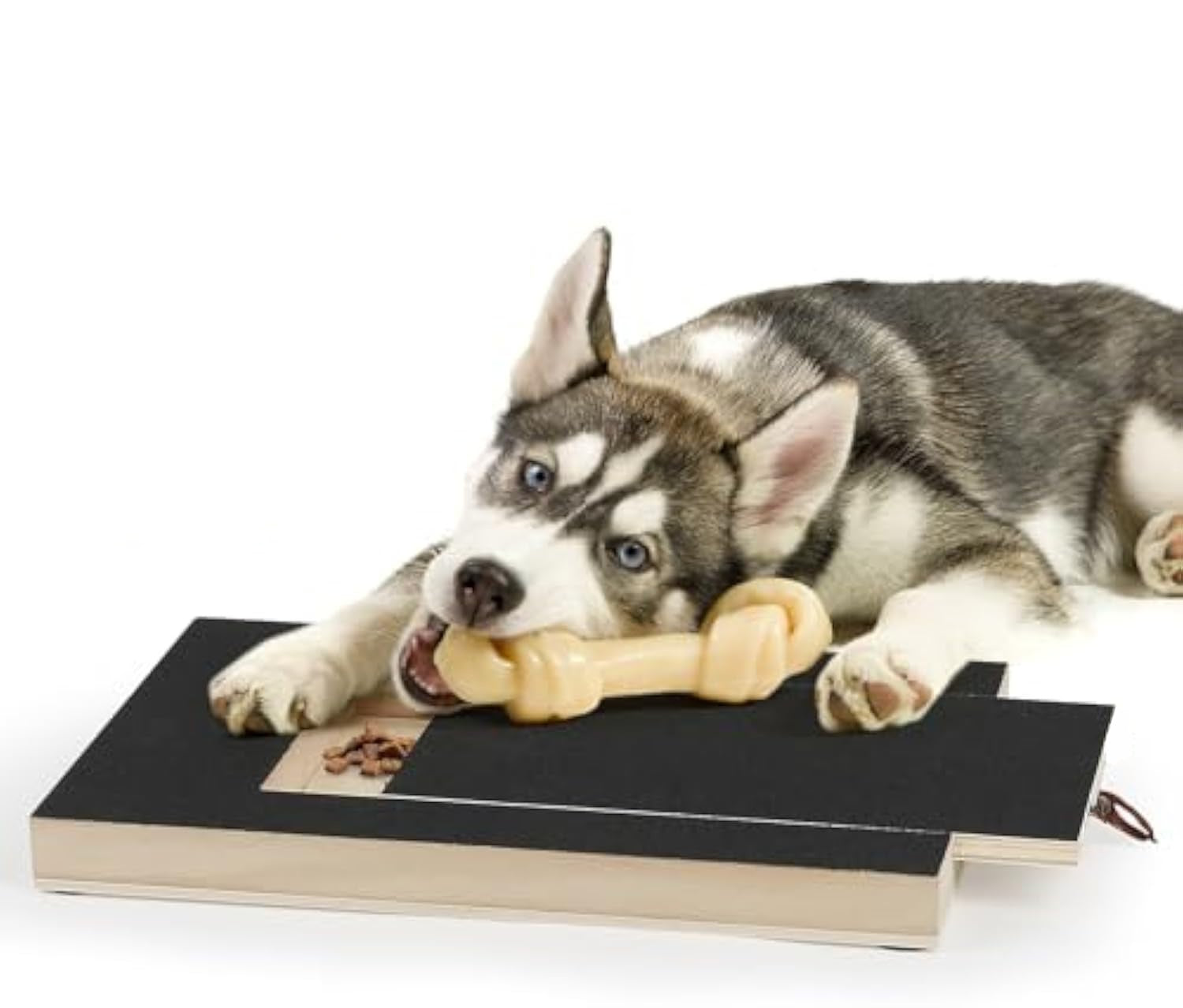 JMT-568330 Gentle Dog Nail Scratch Board with Treat Drawer for Easy Nail Trimming