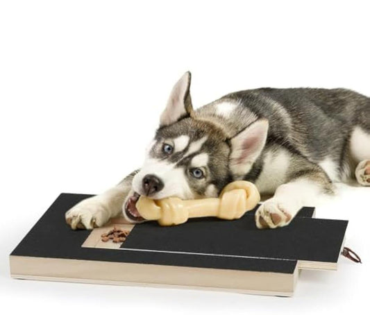 JMT-568330 Gentle Dog Nail Scratch Board with Treat Drawer for Easy Nail Trimming