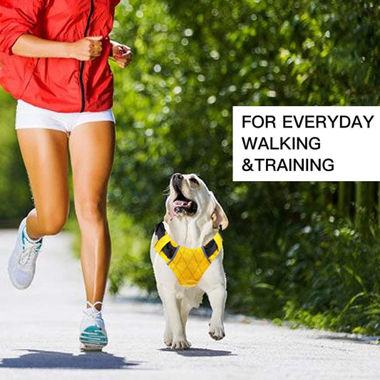 JMT-568842 Reflective Waterproof Dog Harness No Pull Vest for Small to Large Breeds