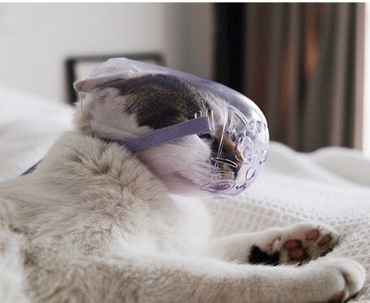 JMT-569162 Transparent Cat Eye Mask and Bite-Proof Headgear for Safe Bathing and Injection, Purple, Available in S, M, L Sizes