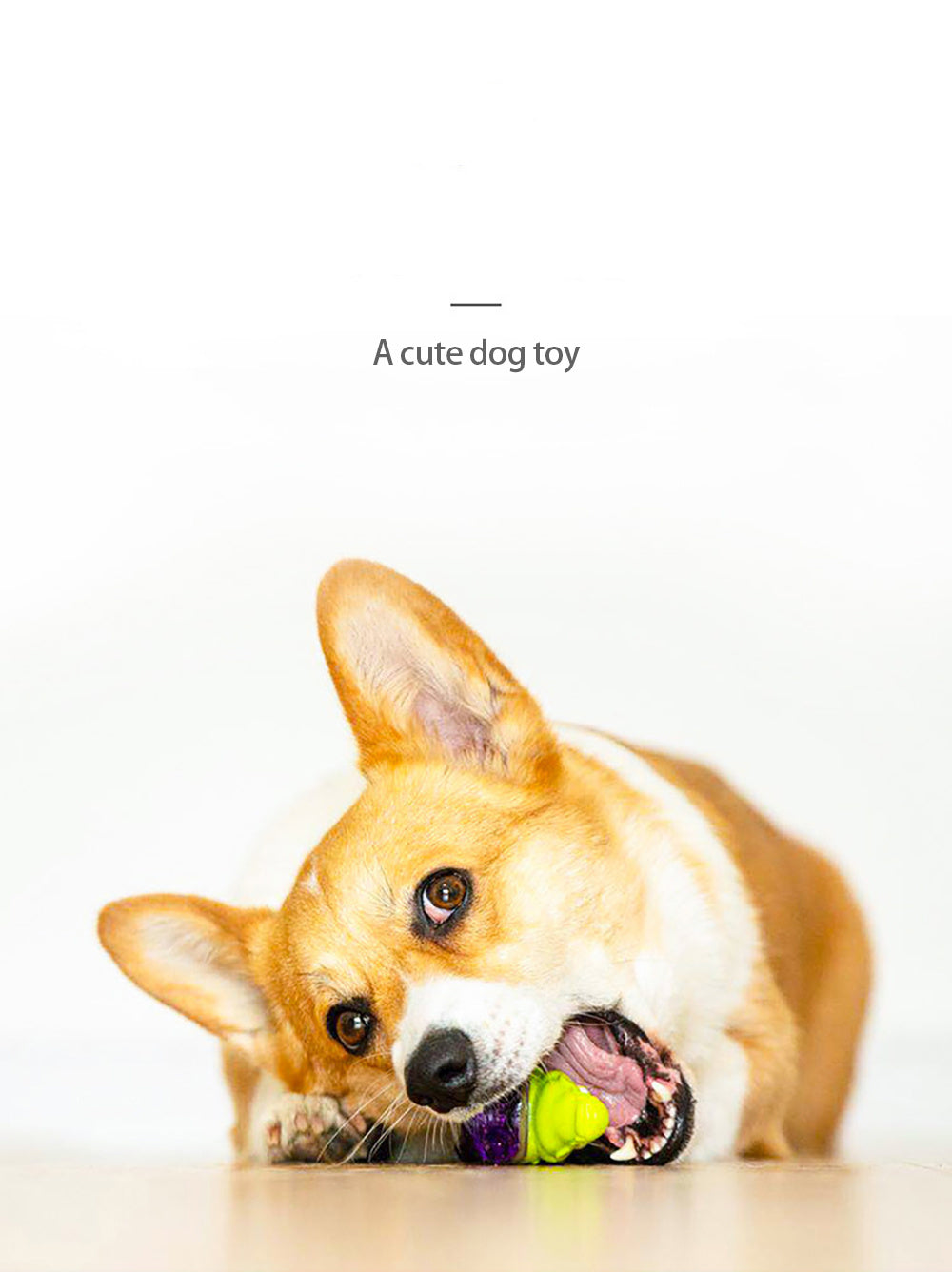 JMT-577546 Puppy Noise-Making Chew Toys in Various Animal Designs - TPR Material