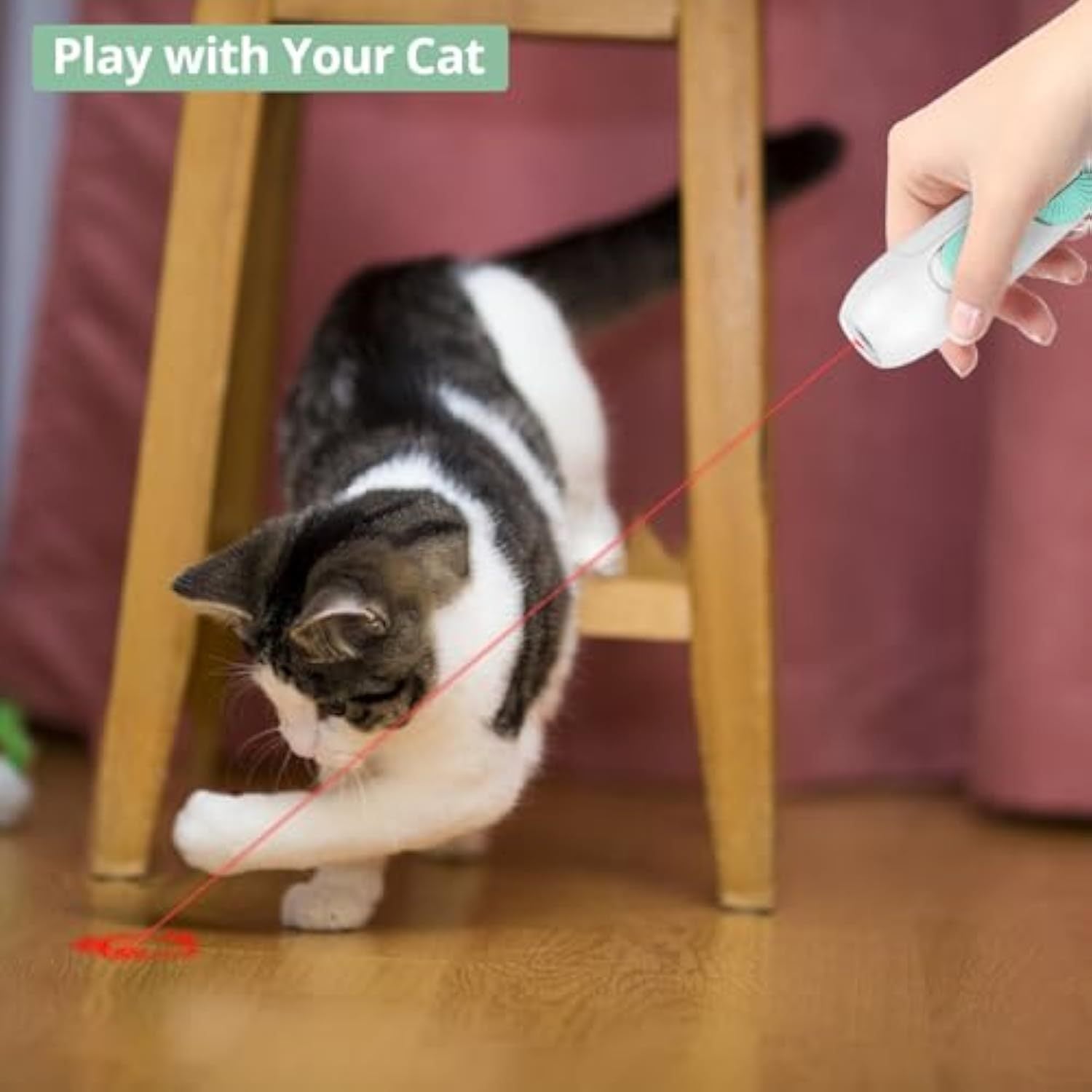 JMT-587914 Interactive Rechargeable Laser Pointer Cat Wand with Feather Toy - 2-in-1 Fun for Indoor Cats and Kittens
