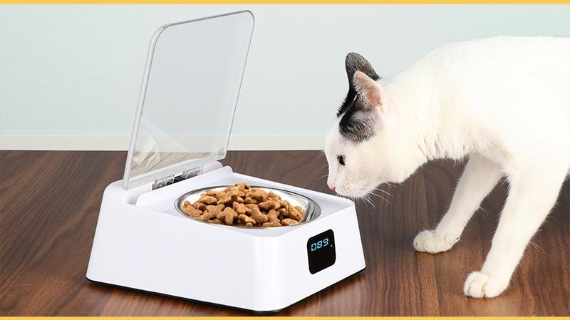JMT-590090 Automatic Moisture-Proof Smart Feeder for Cats and Dogs – 350ml Capacity