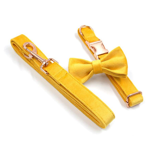 JMT-590410 Turmeric Velvet Dog Collar and Leash Set with Rose Gold Buckle and Decorative Bow