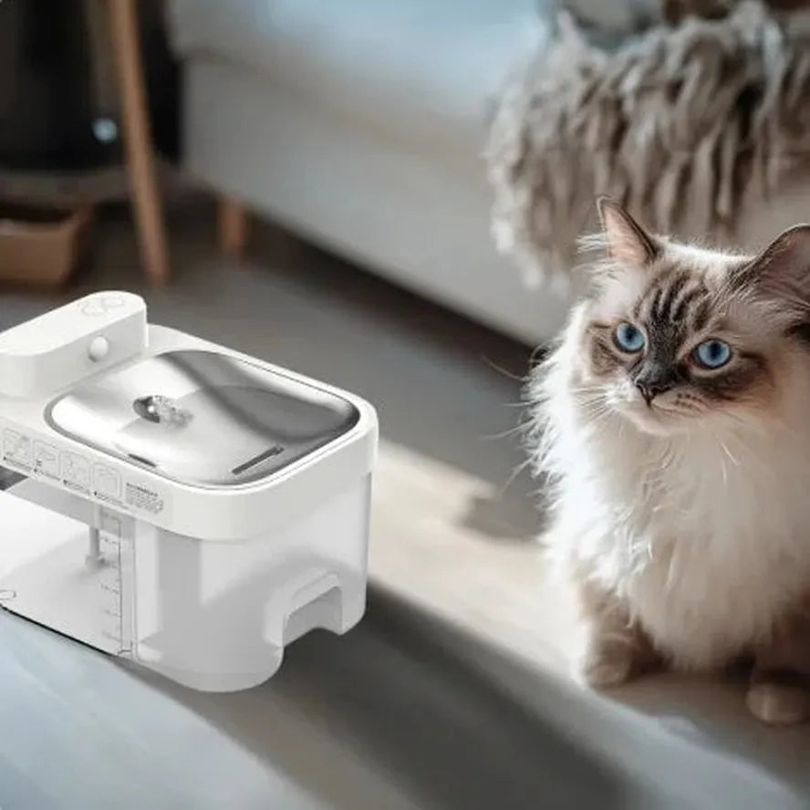 JMT-593738 Smart Pet Water Fountain with APP Control and Dirty-Water Separation for Small Animals