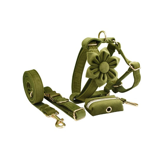 JMT-595850 Velvet Fabric Dog Collar with Accessories - Scalable Sizes XS-XL