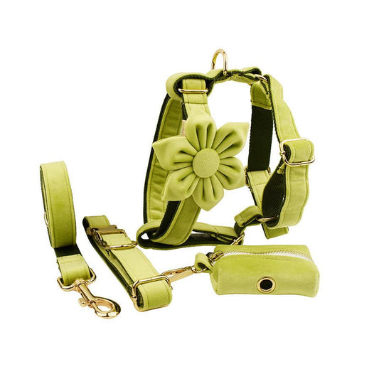 JMT-595850 Velvet Fabric Dog Collar with Accessories - Scalable Sizes XS-XL