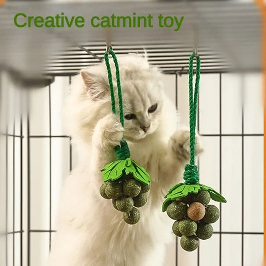 JMT-600266 Mint Ball Grape Strand Catnip Toy - Teething and Bite-Resistant Cat Sticks Made with Peppermint Powder and Rice Flour, 2cm Balls