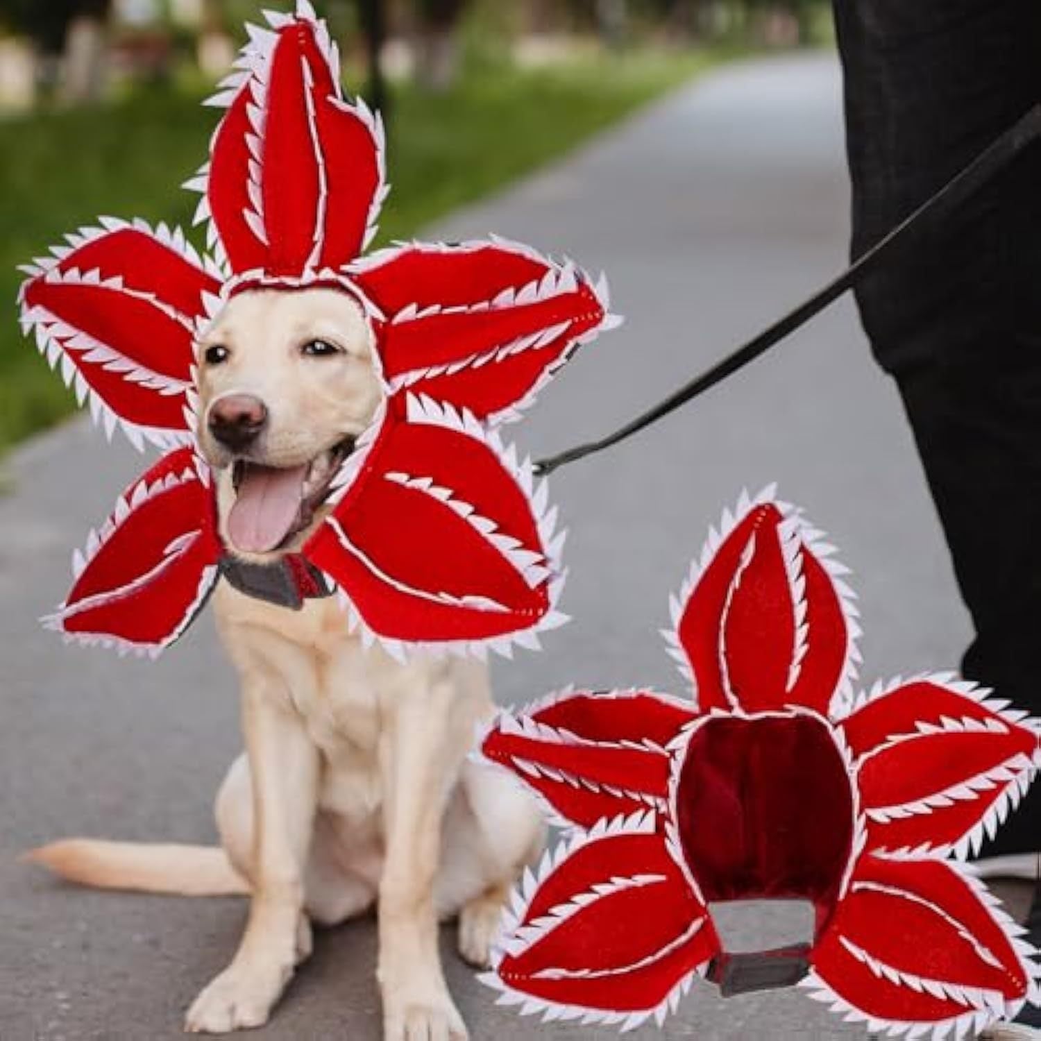 JMT-602890 Medium Dog Halloween Chomper Costume with Demon Hat and Scary Headband Headwear