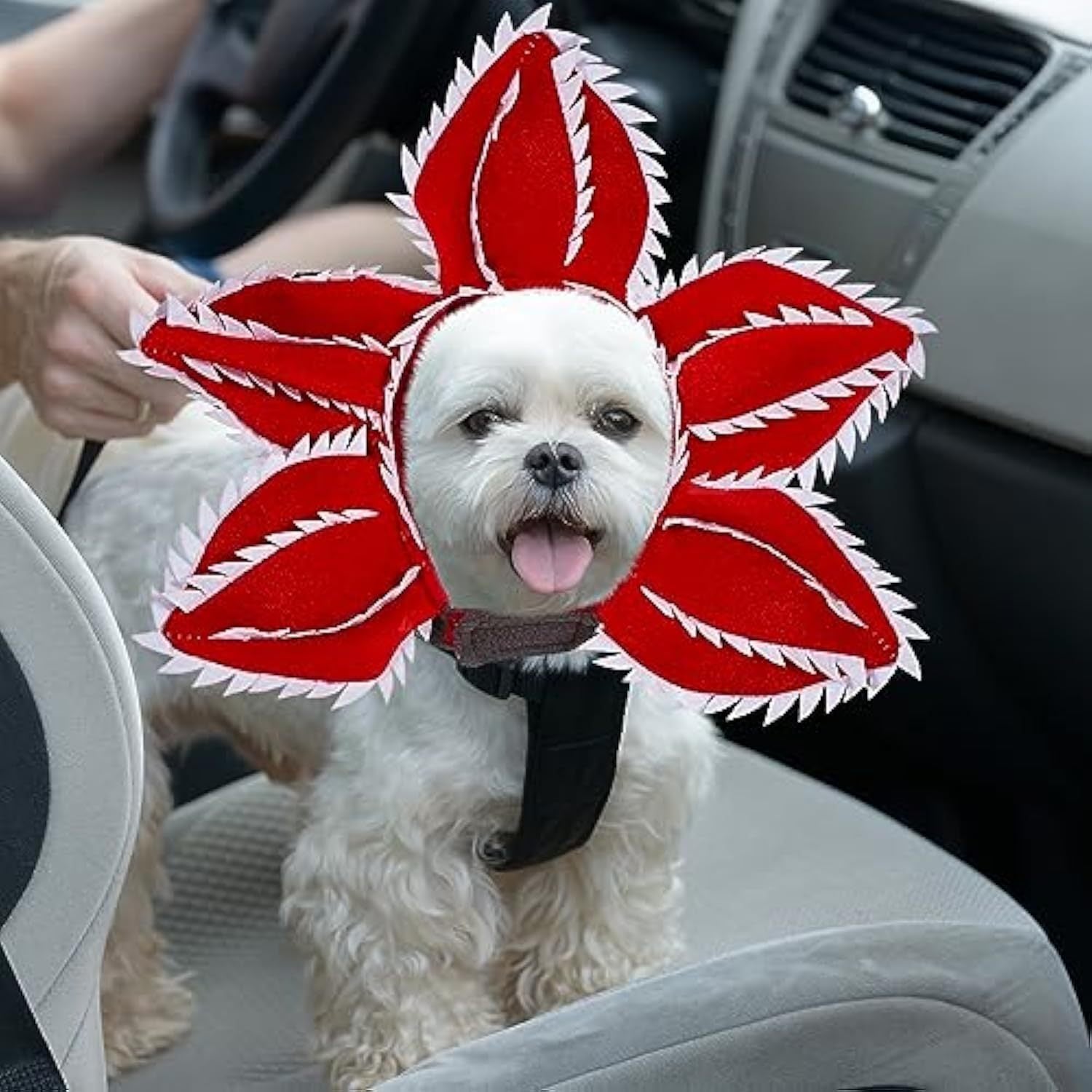 JMT-602890 Medium Dog Halloween Chomper Costume with Demon Hat and Scary Headband Headwear