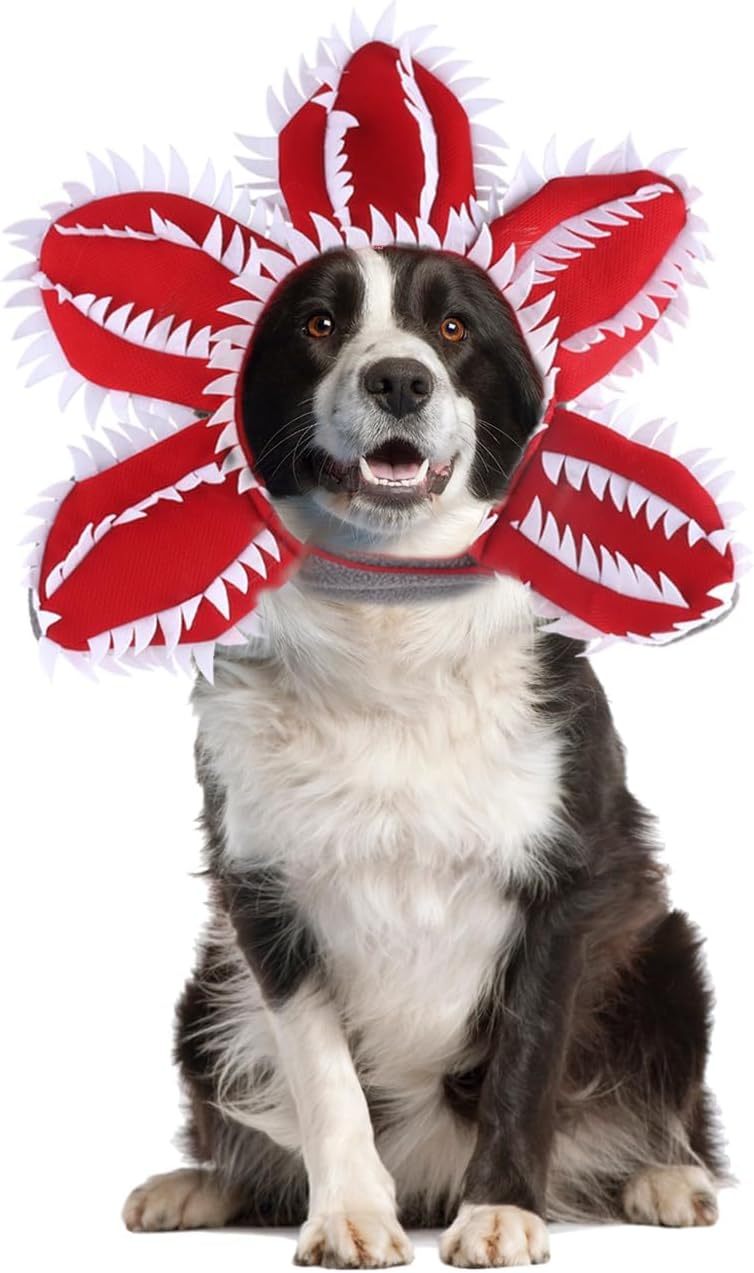 JMT-602890 Medium Dog Halloween Chomper Costume with Demon Hat and Scary Headband Headwear