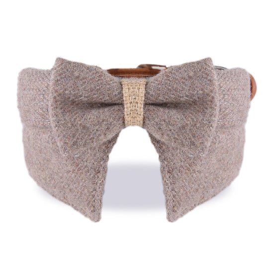 JMT-604234 Comfortable Thickening Pet Collar with Big Bow Tie for Cats and Small to Medium Dogs - Available in Green, Blue, and Coffee Colors