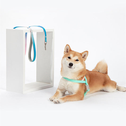 JMT-605066 Gradient PVC Traction Rope for Pets – Durable Plastic, Available in S (15MM) and M (20MM) Sizes