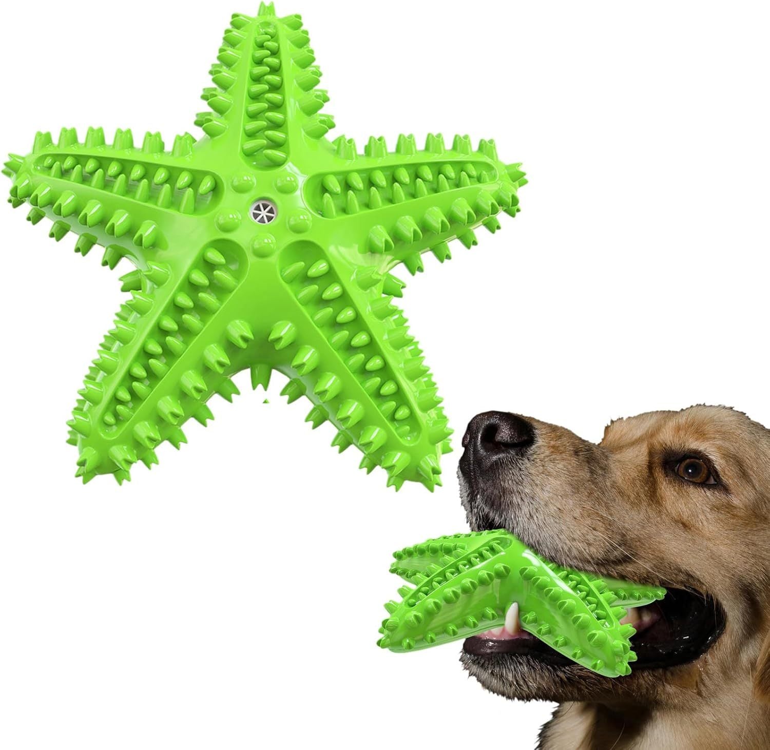 JMT-605706 Natural Toothbrush for Small and Medium Dogs - Starfish Design for Effective Teeth Cleaning