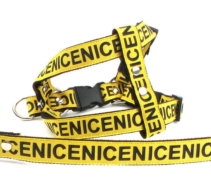 JMT-607690 Durable Nylon Dog Leash and Collar Set - Adjustable Sizes Available in Black, Red, and Yellow