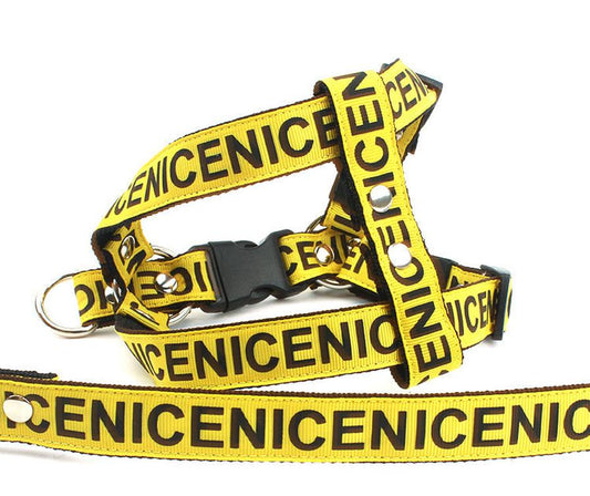 JMT-607690 Durable Nylon Dog Leash and Collar Set - Adjustable Sizes Available in Black, Red, and Yellow