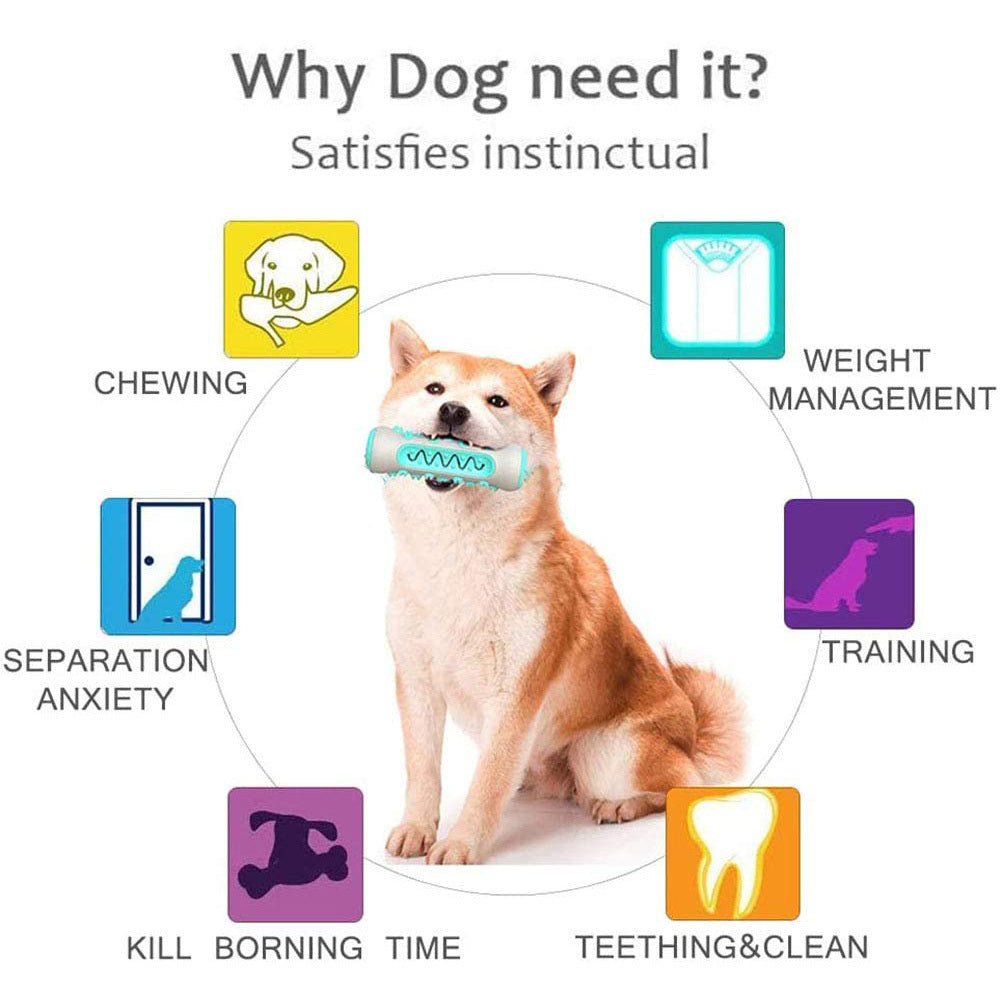 JMT-609162 Durable TPR Rubber Chew Toy with Molar Design for Dog Dental Care