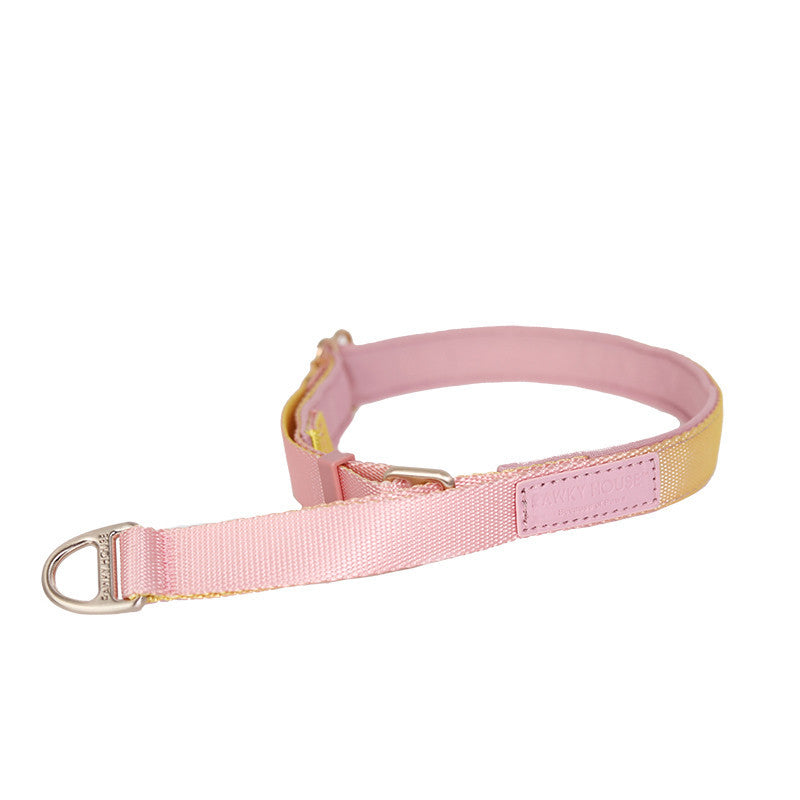 JMT-614282 Adjustable Zero Pressure Cat Collar and Traction Rope Set – M/L Size Options in Blossom, Aurora, and Seine River Designs