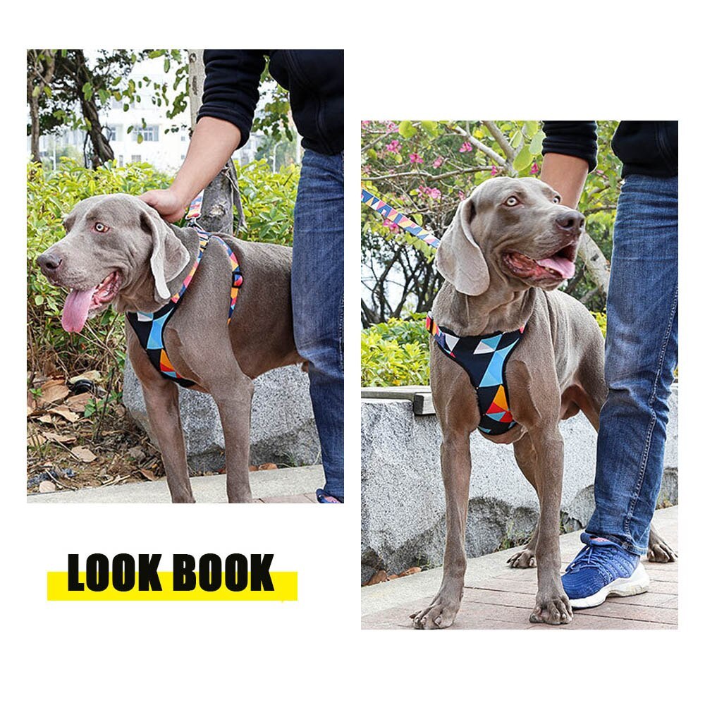 JMT-615114 Adjustable Nylon Chest Harness for Medium and Large Dogs with Padded Comfort and Sturdy Metal Clasp