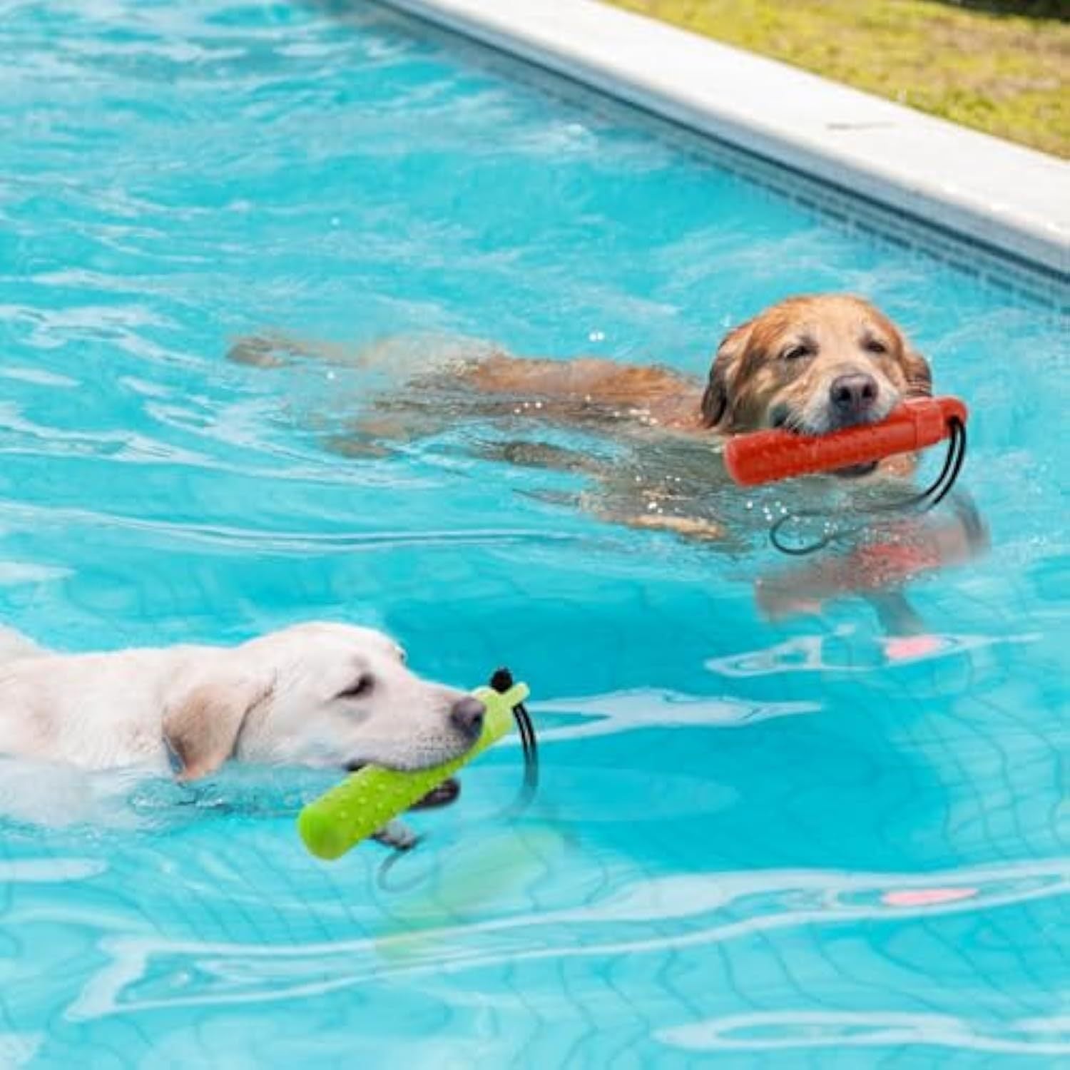 JMT-616906 Interactive Floating Dog Water Toys for Outdoor Fetch and Treat Hiding, Lightweight TPR Bumper Design