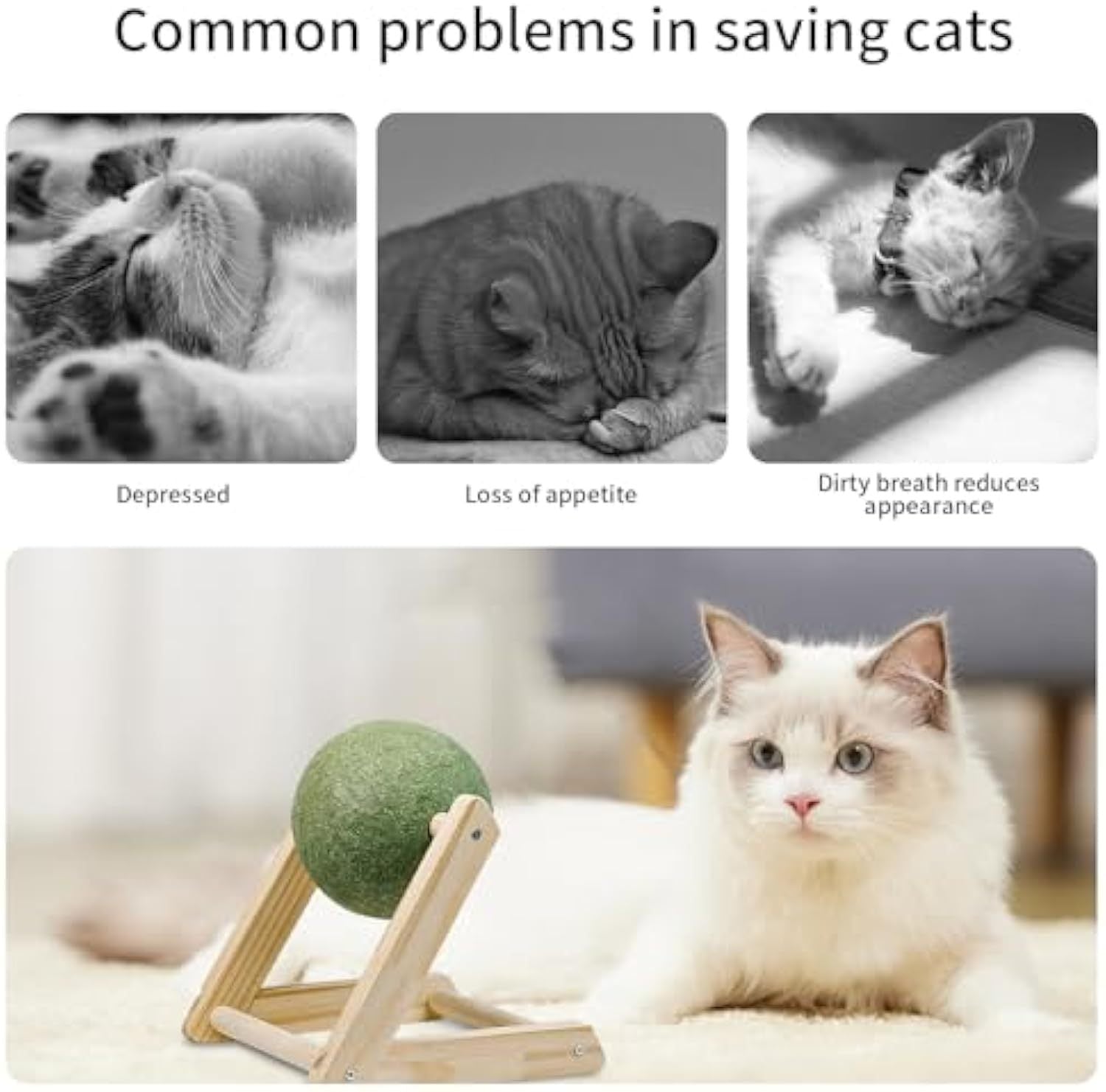 JMT-621834 Giant Catnip Ball with Wooden Holder - Safe and Healthy Cat Toy for Indoor Cats