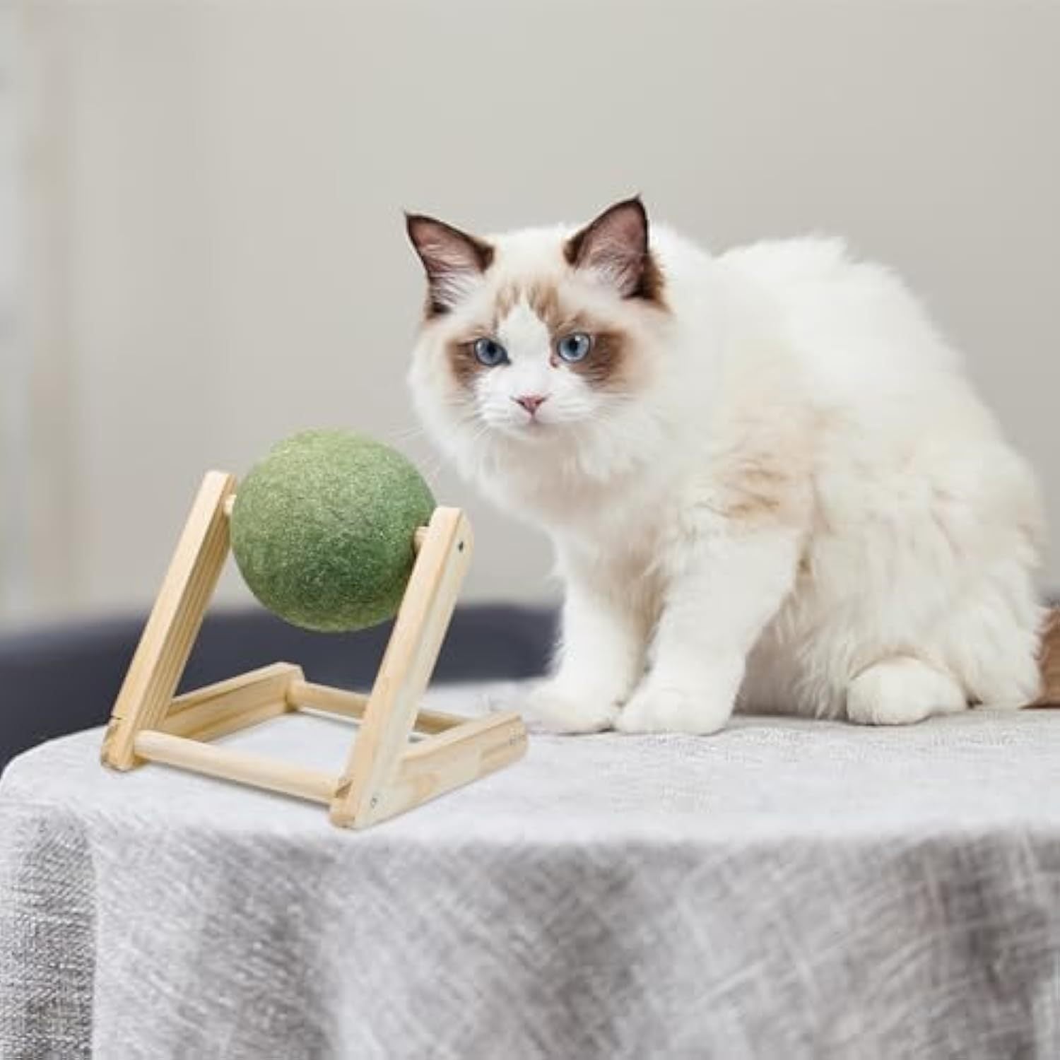 JMT-621834 Giant Catnip Ball with Wooden Holder - Safe and Healthy Cat Toy for Indoor Cats