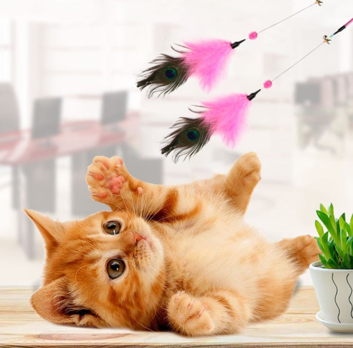 JMT-623818 Peacock Feather Cat Teaser Wand - Bite-Resistant Long Rod for Interactive Play