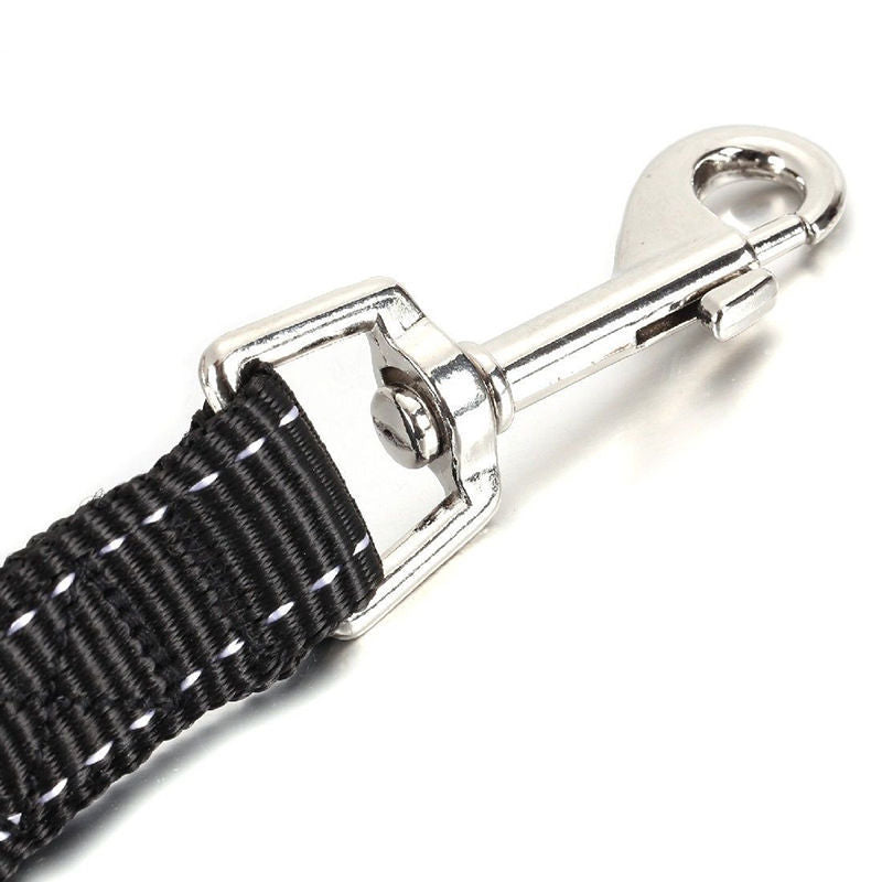 JMT-625482 Double-Ended Nylon Dog Leash with Collar – 100cm Length, 2.5cm Width, Black