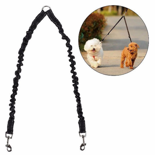 JMT-625482 Double-Ended Nylon Dog Leash with Collar – 100cm Length, 2.5cm Width, Black