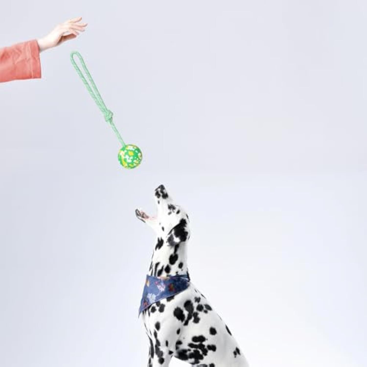 JMT-626122 Interactive Dog Ball with Rope - Natural Rubber Fetch and Tug Toy for Small and Medium Dogs