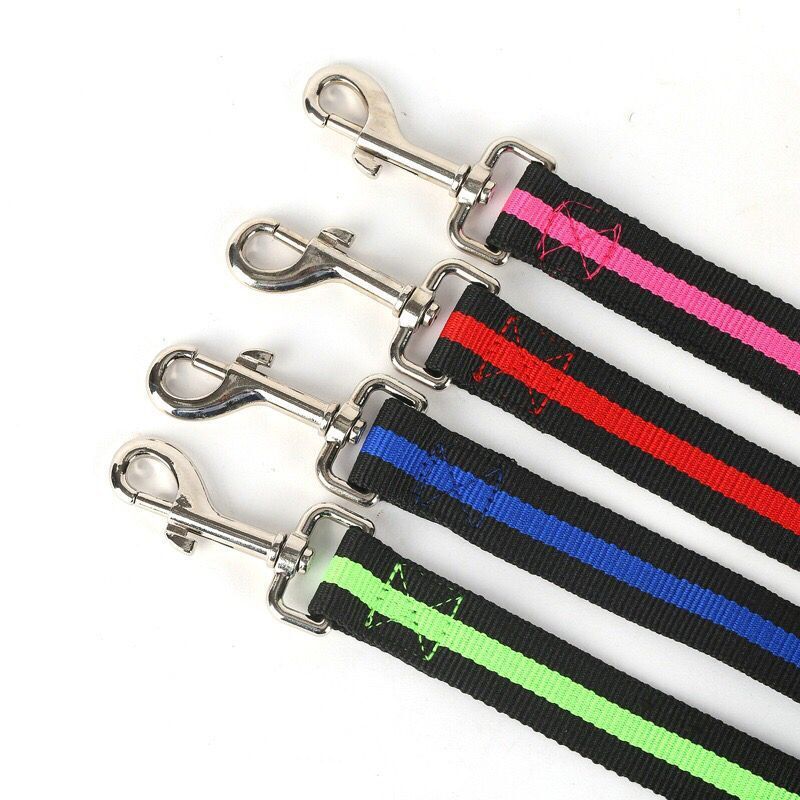JMT-638986 Durable Nylon Pet Leash with Hand Holding Rope for Comfortable Outdoor Activities