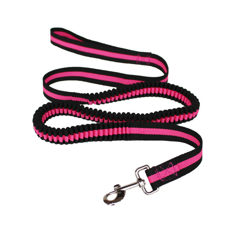 JMT-638986 Durable Nylon Pet Leash with Hand Holding Rope for Comfortable Outdoor Activities