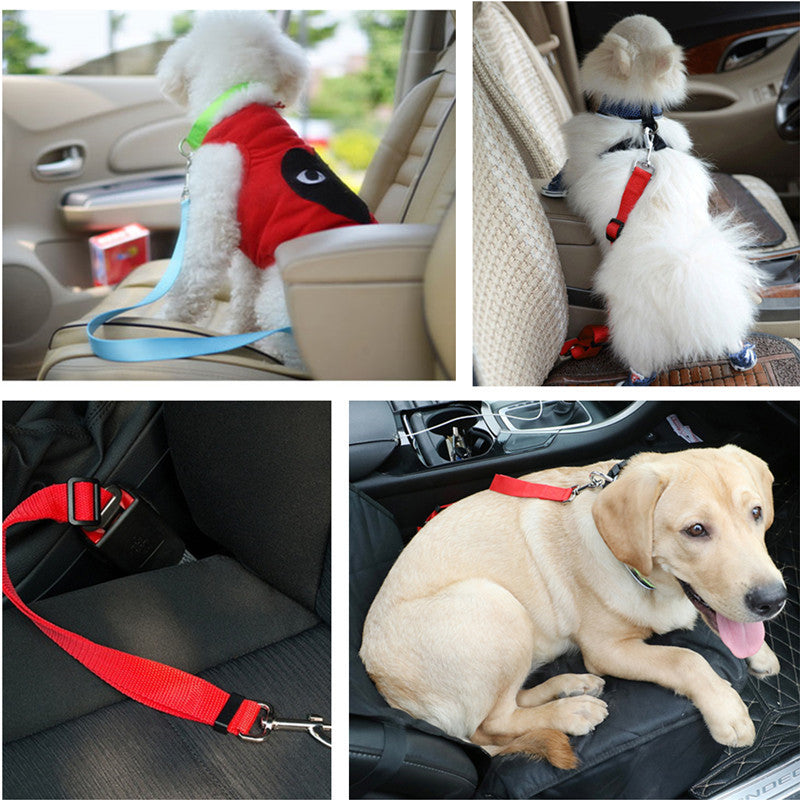 JMT-642442 Pet Traction Rope for Car Safety - 2.5 x 70 cm Nylon Belt