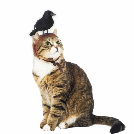 JMT-642762 Raven-Themed Cat Dress Headgear for Fun Pet Dress-Up