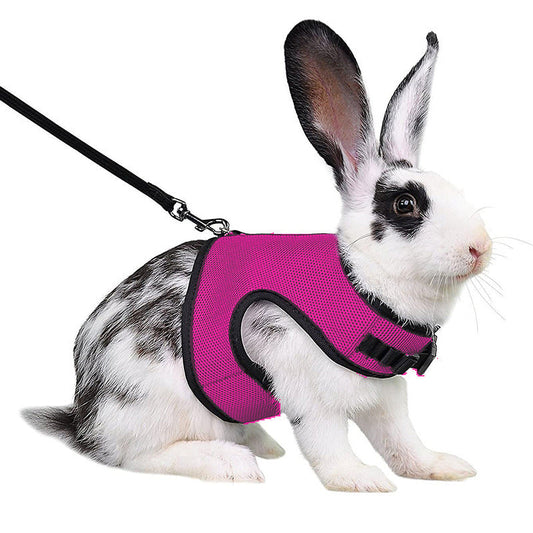 JMT-642954 Pet Traction Vest for Mini Pets - Adjustable Mesh Harness for Guinea Pigs, Rabbits - Available in Multiple Colors