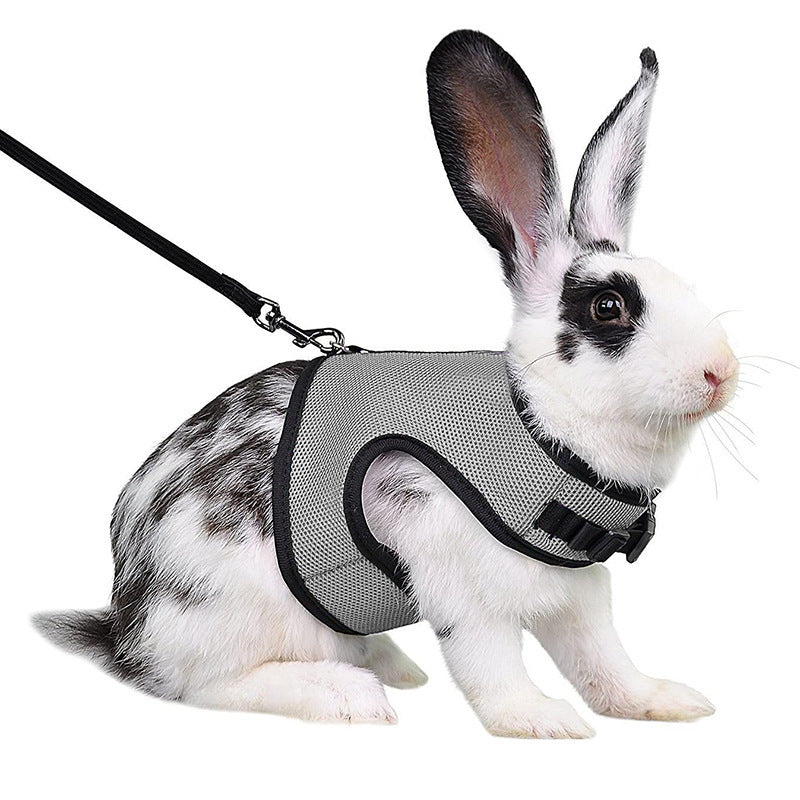 JMT-642954 Pet Traction Vest for Mini Pets - Adjustable Mesh Harness for Guinea Pigs, Rabbits - Available in Multiple Colors