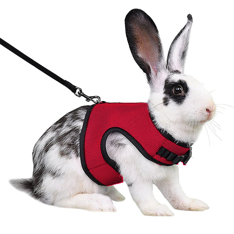 JMT-642954 Pet Traction Vest for Mini Pets - Adjustable Mesh Harness for Guinea Pigs, Rabbits - Available in Multiple Colors
