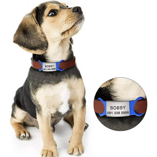 JMT-643274 Silicone Dog Collar with Custom Lettering Tag