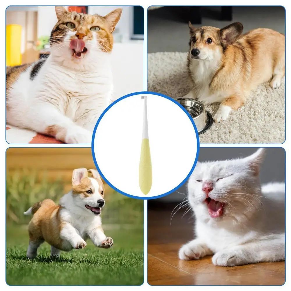 JMT-647562 Cat and Small Dog Toothbrush with Soft Bristles and Anti-Slip Handle for Safe Oral Care