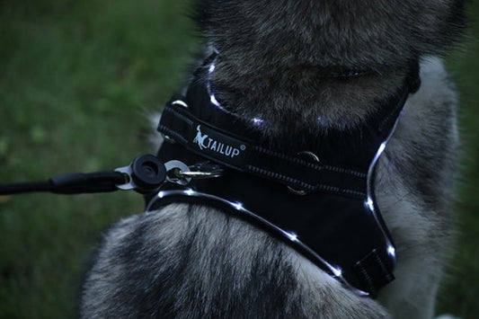 JMT-647882 LED Dog Harness with Oxford Cloth for Night Travel, Adjustable Chest Strap for Medium and Large Dogs
