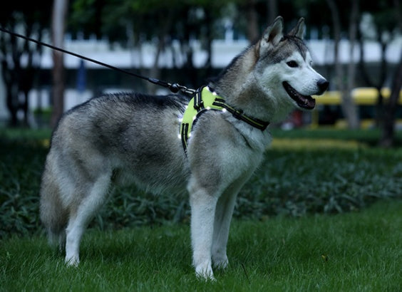 JMT-647882 LED Dog Harness with Oxford Cloth for Night Travel, Adjustable Chest Strap for Medium and Large Dogs