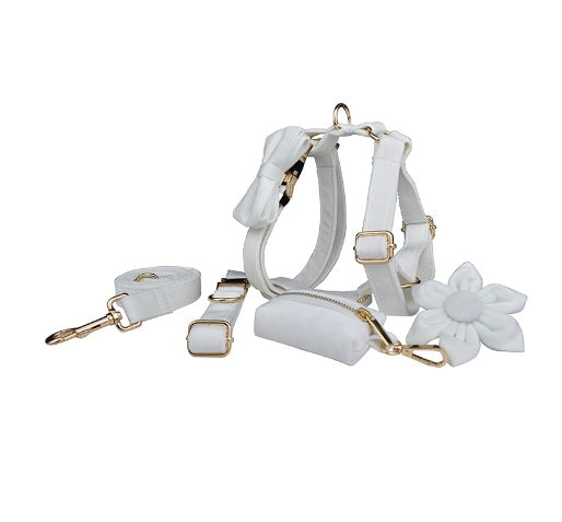 JMT-650186 Soft Velvet Dog Collar with Matching Accessories - Adjustable Sizes XS to XL